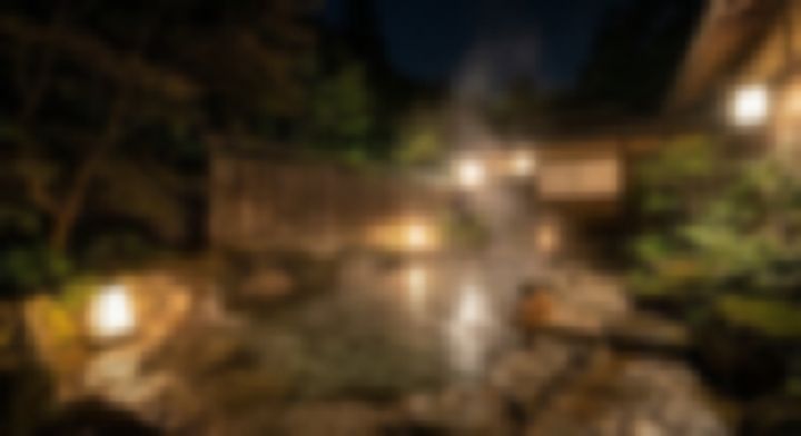 庭園に囲まれた露天風呂に湯気が立つ夜景