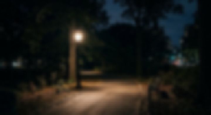 街灯に照らされた夜の公園の曲がり道